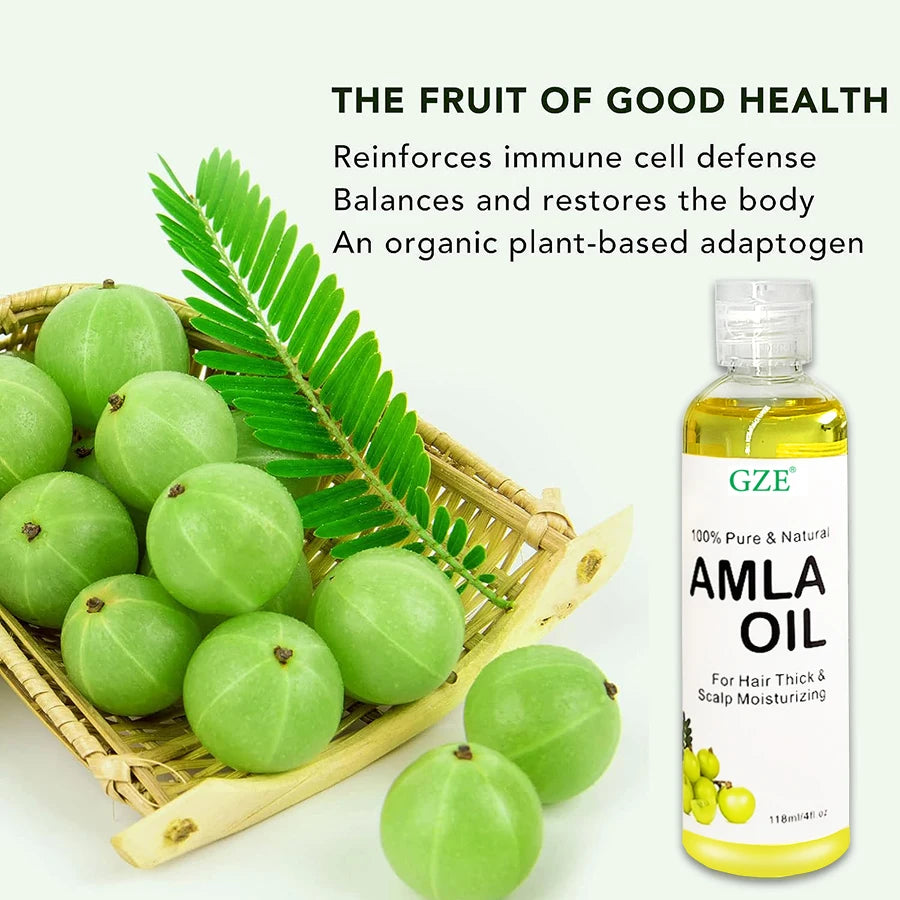 GZE Amla Hair Oil For Healthy Hair Shine and Moisturized Scalp, Indian Hair Oil for Men and Women, Bio Oil for Hair