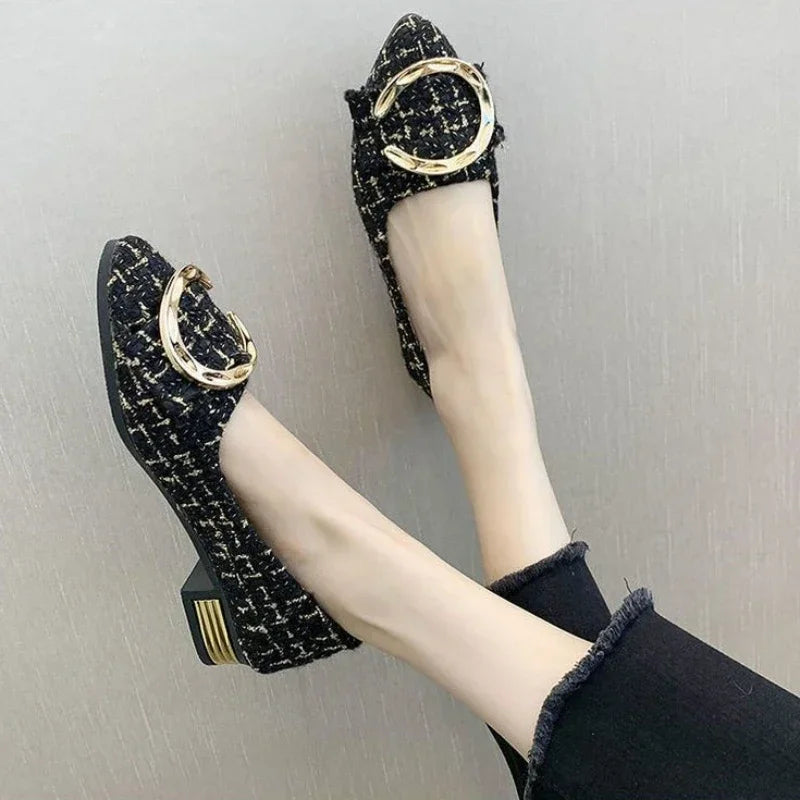 Spring Autumn Casual Fashion Pointed Toe Fabric High Heels Comfortable Simple Metal Decorated Low Heel Women's Shoes NO:A1701