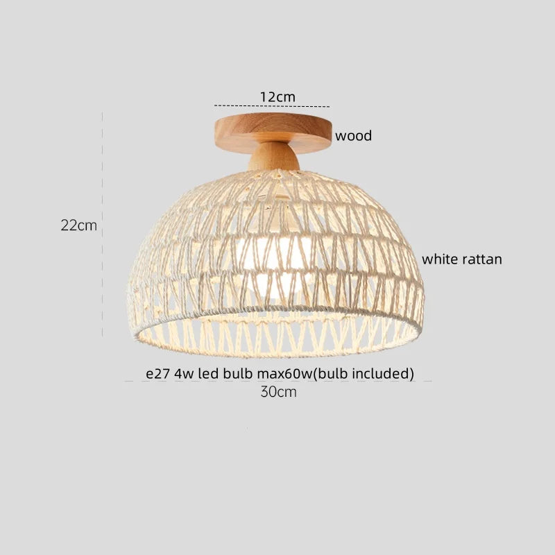 IWHD Home Lighting LED Ceiling Lights Decoration Aisle Porch Living Room Light Fixtures Nordic Ceiling Lamp Resin Copper Lustres