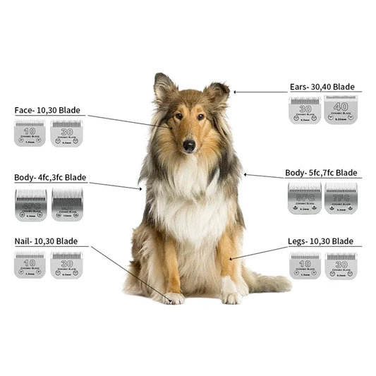 Pet Dog Cat Detachable Ceramic Blade Compatible with Andis,Oster A5 & 76,Wahl KM 10 Series Animals Grooming Clippers