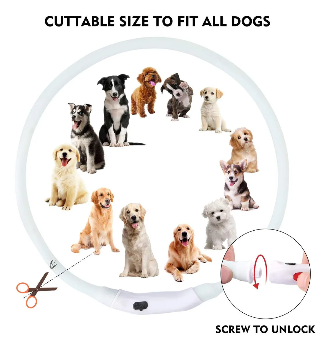 Adjustable USB Rechargeable LED Dog Collar - Multi-Color, 4 Flashing Modes, Cut-To-Fit Design for Nighttime Safety & Visibility