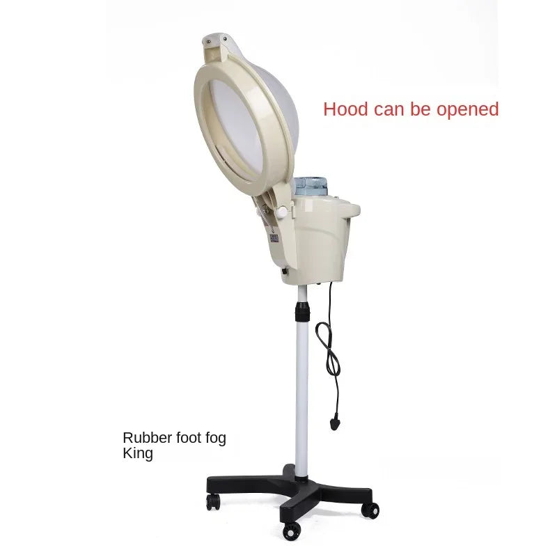 Hair Steamer Luxury Household Oil Treatment Machine Hair Salon