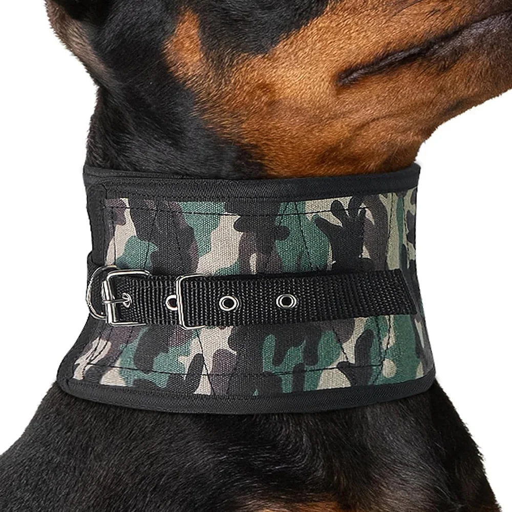 JANPET Hunting Dog Neck Protector – Durable Bite-Resistant Protective Gear for Dogs – Soft and Comfortable Neck Armor