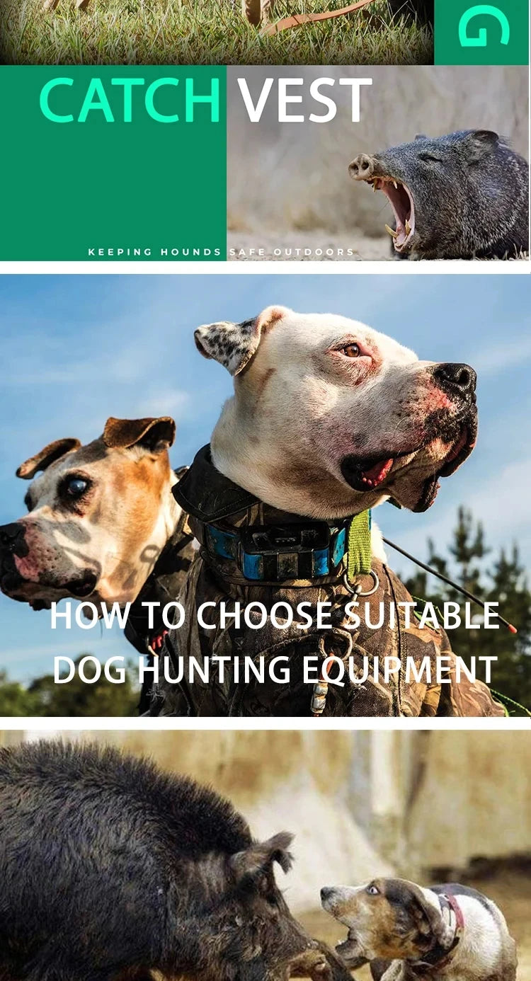 JANPET Hunting Dog Neck Protector – Durable Bite-Resistant Protective Gear for Dogs – Soft and Comfortable Neck Armor