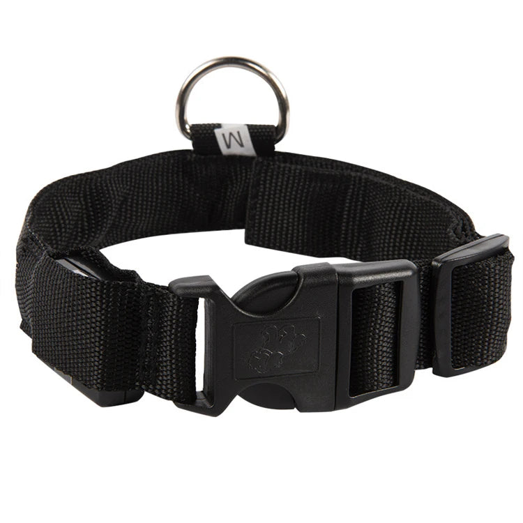 USB Rechargeable Pet Dog LED Glowing Collar Luminous Flashing Necklace Outdoor Walking Night Safety Supplies