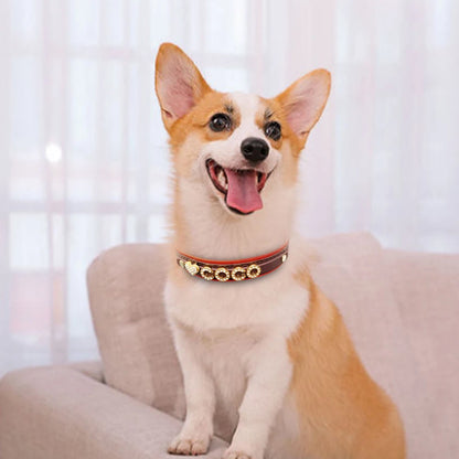 Personalized Small Dogs Chihuahua Collar Bling Rhinestone Dog Collars Free Custom Pet Dogs Cats Name Charms Pet Accessories