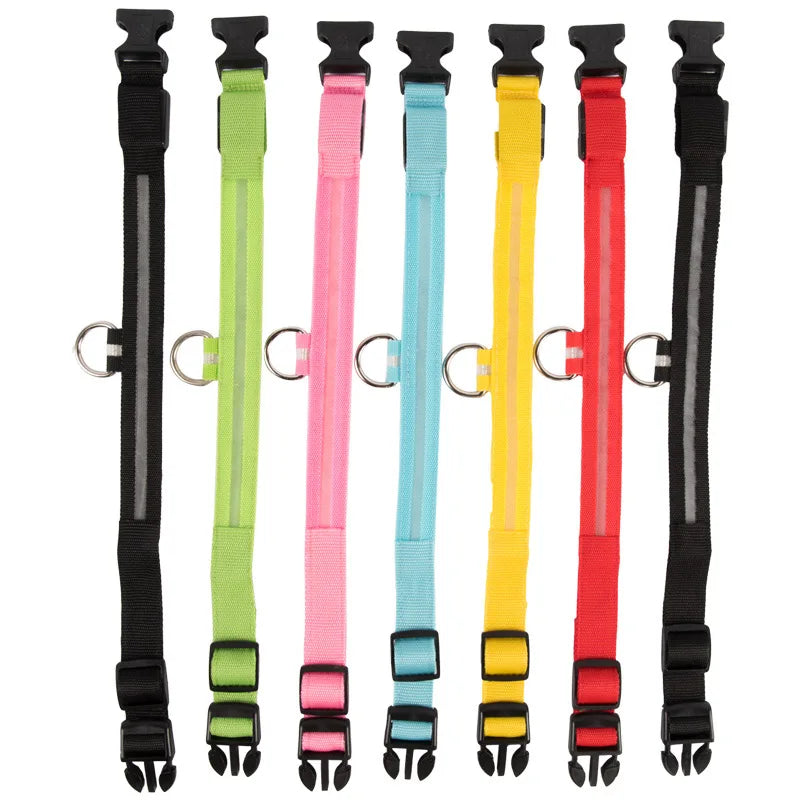 USB Rechargeable Pet Dog LED Glowing Collar Luminous Flashing Necklace Outdoor Walking Night Safety Supplies
