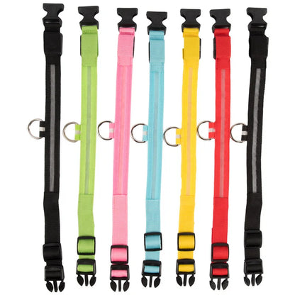 USB Rechargeable Pet Dog LED Glowing Collar Luminous Flashing Necklace Outdoor Walking Night Safety Supplies