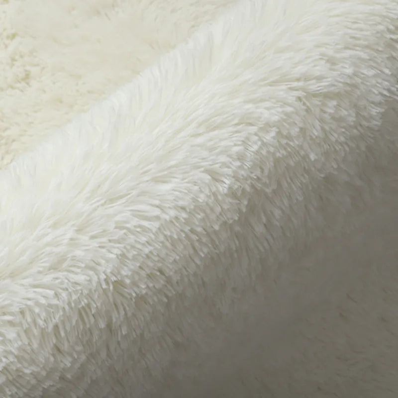 Washable Long Hair Carpet Living Room Coffee Table Fluffy Large Rugs 160x230 Girl Bedroom Thick Carpets In Door Non-slip Mats