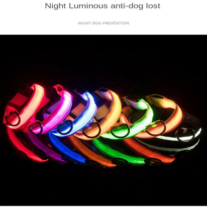 USB Rechargeable Pet Dog LED Glowing Collar Luminous Flashing Necklace Outdoor Walking Night Safety Supplies