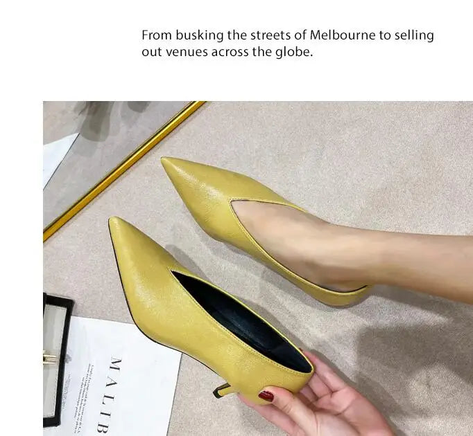 Sandals Luxury Brand Sexy Dress Shoes Elegant Chunky High Heeeled Pumps Sexy Pointed Toe Evening Shoes Women Shoes V Cut Shoes