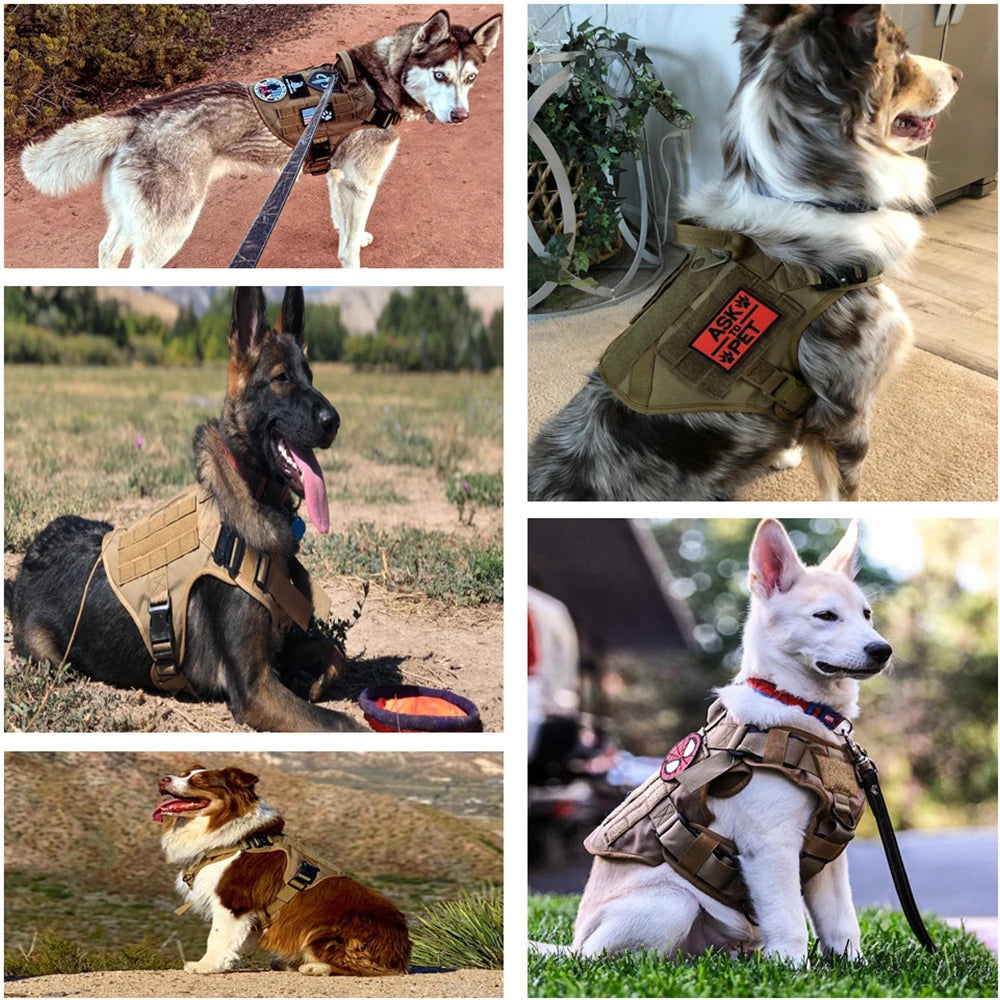 Dog Harness for Large Dogs Leash Collar Molle Pouch Military Harnesses French Bulldog Pet Tactical Training Vest Dog Accessories