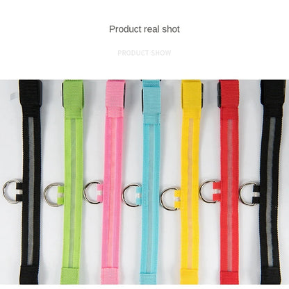 USB Rechargeable Pet Dog LED Glowing Collar Luminous Flashing Necklace Outdoor Walking Night Safety Supplies