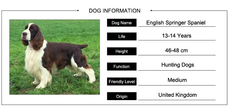 Female Alloy Pet Dog Pendants Women's English Springer Spaniel Pendants