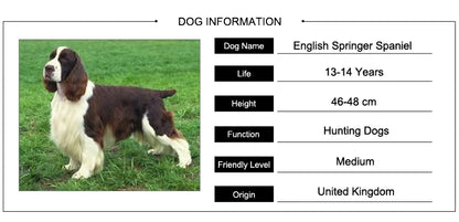 Female Alloy Pet Dog Pendants Women's English Springer Spaniel Pendants