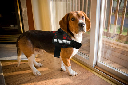 Bulldog Corgi Chihuahua Chest Harness For Service Dogs Custom Patches Soft Mesh Padded Dog Training Vest For Small And Large Dog