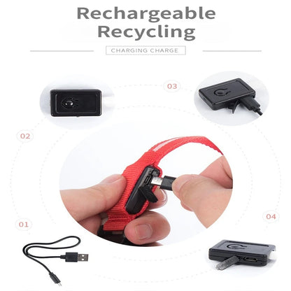 USB Rechargeable Pet Dog LED Glowing Collar Luminous Flashing Necklace Outdoor Walking Night Safety Supplies