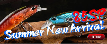 BEARKING brand New arrival Saltwater Fishing Reel Spinning 1000-6000 9+1BB 5.2:1 Max Drag 10-20KG Water-Proof Reels