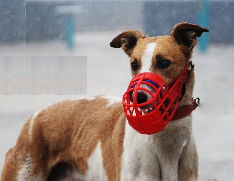 Pet Dog Muzzle Breathable Basket Muzzle Large Dogs Stop Biting Barking Chewing For Greyhound Gree Whippet Dogs Supplies