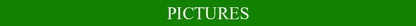 Luxury Green Crystal Chandelier Wedding Parlor Bedroom Villa Hanging Lamp Hotel Restaurant Cafe Bar E14 Candle Pendant Lights