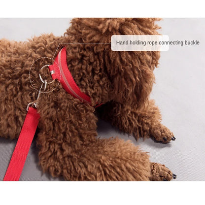 USB Rechargeable Pet Dog LED Glowing Collar Luminous Flashing Necklace Outdoor Walking Night Safety Supplies