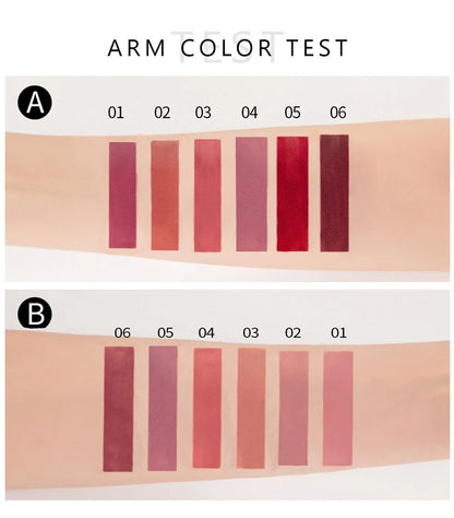 6Pcs/Box Makeup Lipstick Liquid Set Velvet Matte Gloss Lip Red Lipstick Nude Women Long Lasting Waterproof Beauty Cosmetic Kit