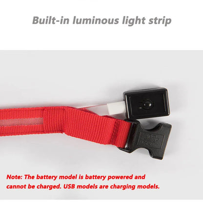 USB Rechargeable Pet Dog LED Glowing Collar Luminous Flashing Necklace Outdoor Walking Night Safety Supplies