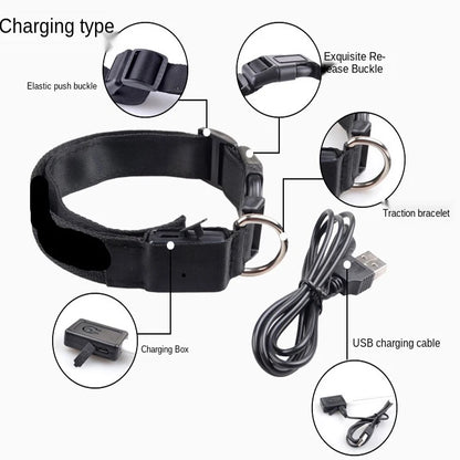 USB Rechargeable Pet Dog LED Glowing Collar Luminous Flashing Necklace Outdoor Walking Night Safety Supplies