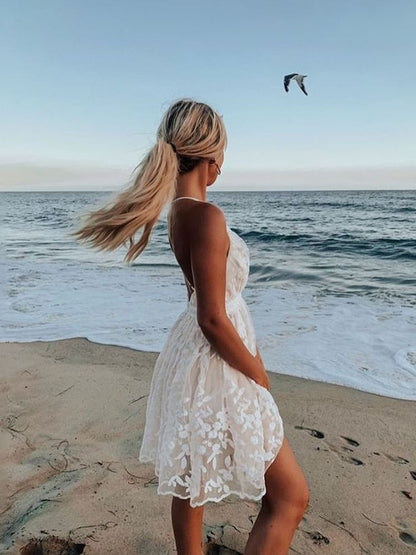 Cross-Border 2023 Summer New European and American Sexy Deep V Neck Backless Suspender Dress Amazon Lace Beach Dress