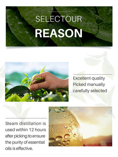 Organic Tea Tree Oil For Skin Face Hair Scalp Acne Treatment  Hair Growth Essential Oils for Diffuser, Aromatherapy Massage 10ml