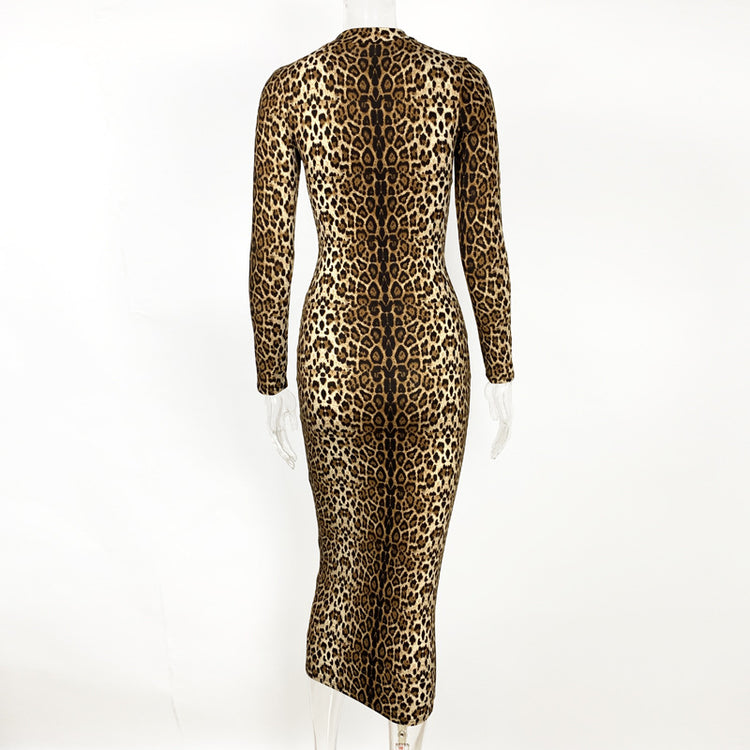 2025 cross-border autumn and winter new women's clothing Amazon European and American fashion leopard print long sleeve sexy slim dress