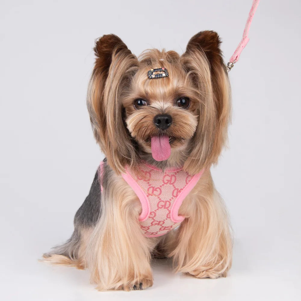 Tide brand pet chest back strangulation dog leash set dog walking rope cat adjustable dog chest back.