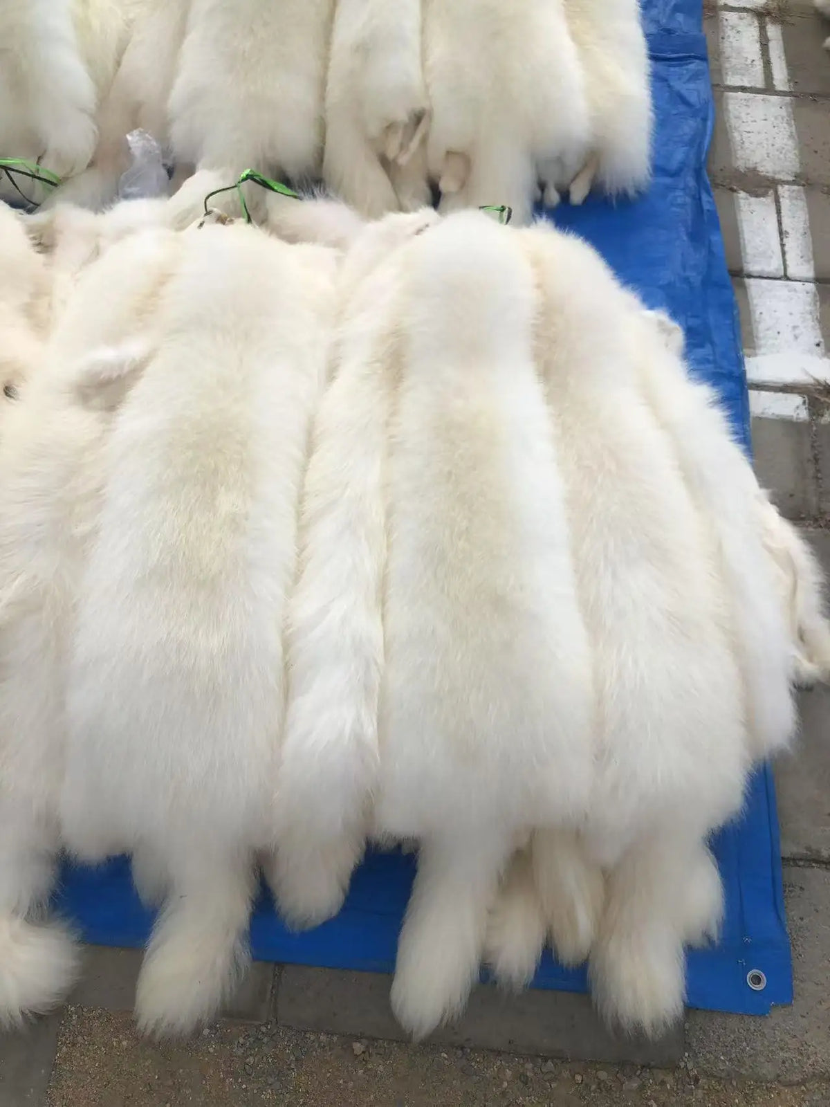 Animal fur pelts real Raccoon dog fur skins high quality Chinese raccoon skin fur