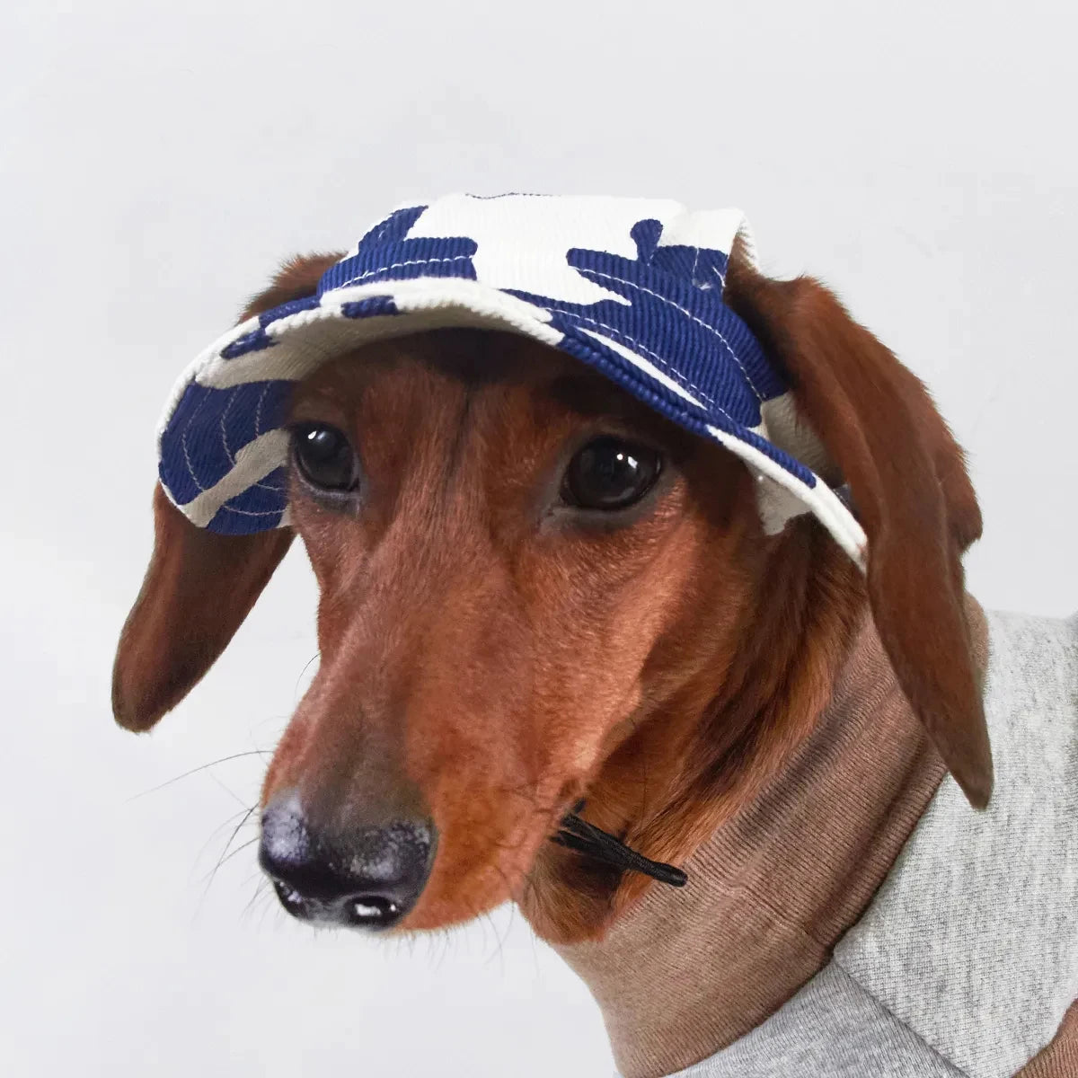 Wiener Dogs Sunscreen Hat Outdoor Hat Ear Holes Adjustable Cap for Badger Dogs Breathable Cool Hat for Small Media Dogs