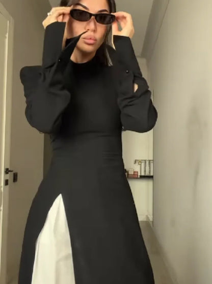 Women's Casual High Neck Long Sleeve Maxi Dress Elegant Waist Slimming Slit Hem Unique Wear Chic Lady Formal Work Meeting Outfit
