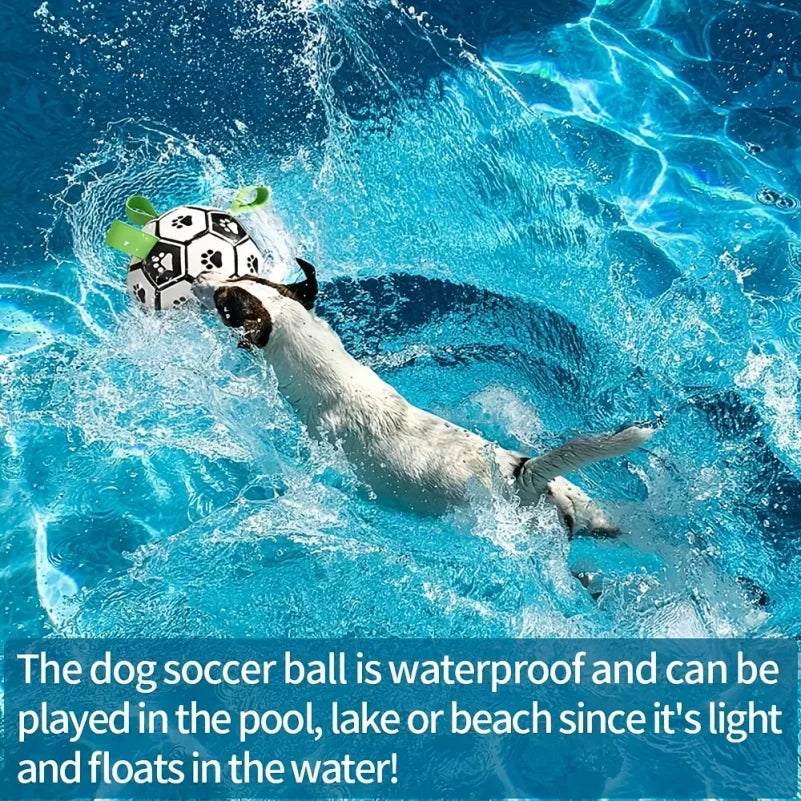 Damaly,Interactive Dog Soccer Toy with A Grip Ring, Durable Water Ball for Dogs, Dog Chasing and Playing Toy, Without Battery