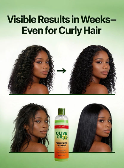 Olive Oil Shampoo 450ml Deep Cleansing Dandruff Removal Shampoo Oil Control Prevents Hair Breakage Scalp Cleansing Hair Care