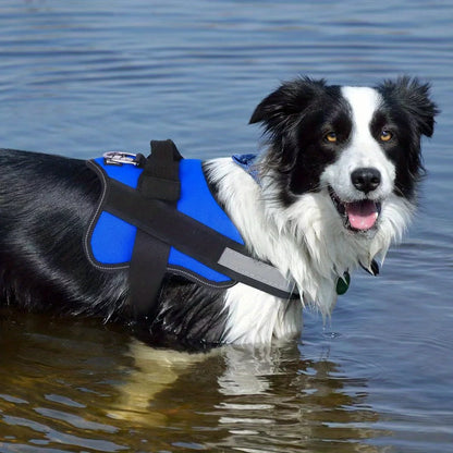 Dog Leash Vest Style Chest Harness Pet Supplies Stretchable Dog Chain Reflective Small Medium Adjustable Dogs Comfortable Secure