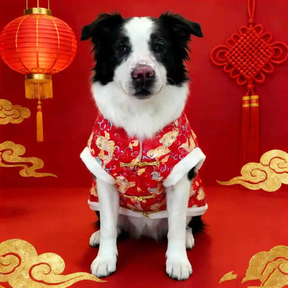 Chinese traditional pattern pet clothing, warm and comfortable dog clothes, suitable for medium to large dogs such as Golden Ret