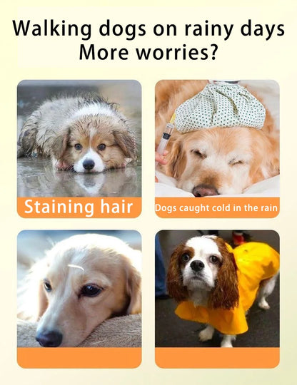 Dogs going out, transparent waterproof raincoat with hat pet raincoat