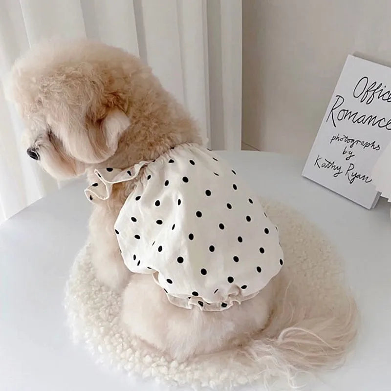 Luxury Dog Dress for Small Dogs Summer Puppy Clothes Bow Lace Dog Skirt Black White Dog T Shirt Girls Dog Costume Chihuahua Vest