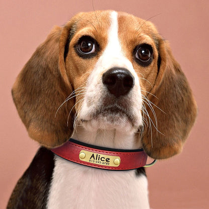 Personalized Dog Collar Leash PU Leather Dogs Collars Pet Rope Engraved Pet ID Name Necklace for Small Large Dogs Soft Padded