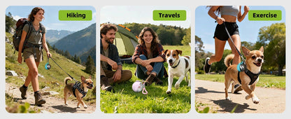 2-in-1 Portable Leak-Proof Compact Dog Travel Water Bottle Stainless Steel Silicon for Small Dogs