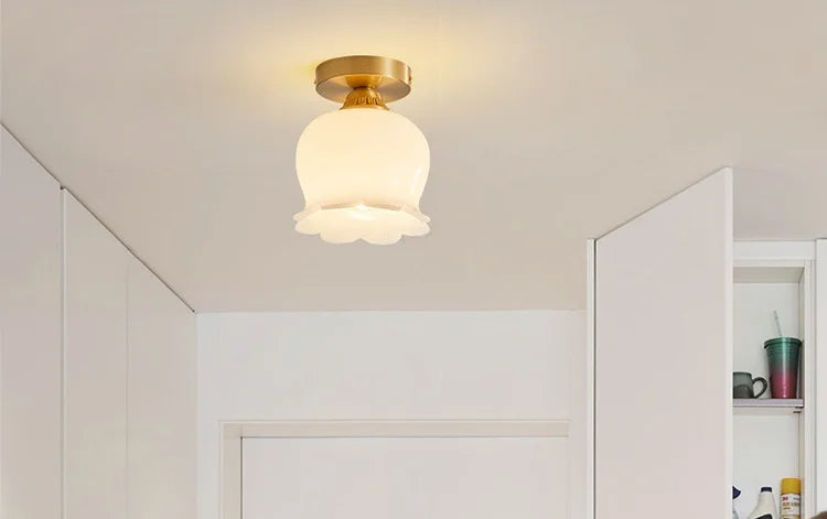 IWHD Home Lighting LED Ceiling Lights Decoration Aisle Porch Living Room Light Fixtures Nordic Ceiling Lamp Resin Copper Lustres