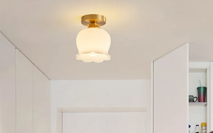 IWHD Home Lighting LED Ceiling Lights Decoration Aisle Porch Living Room Light Fixtures Nordic Ceiling Lamp Resin Copper Lustres