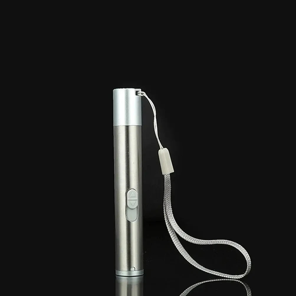 Pointer USB Charging Rechargeable 3-in-1 Flashlight Infrared Multifunction UV Teaching Lighting Gifts Pet Training