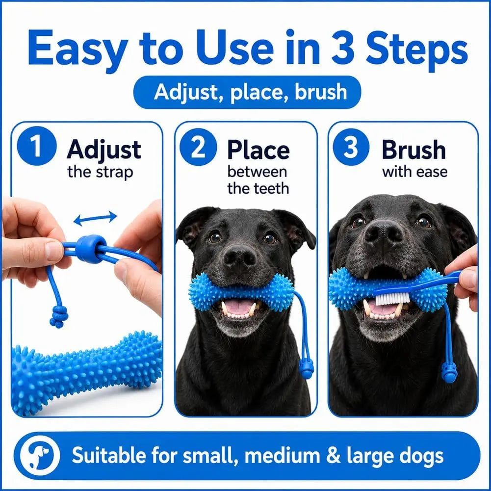 Dual-Action Canine Dental Prop, Dog Dental Chew Toy for Teeth Cleaning Brushing, Reusable Dental Chews for Dogs