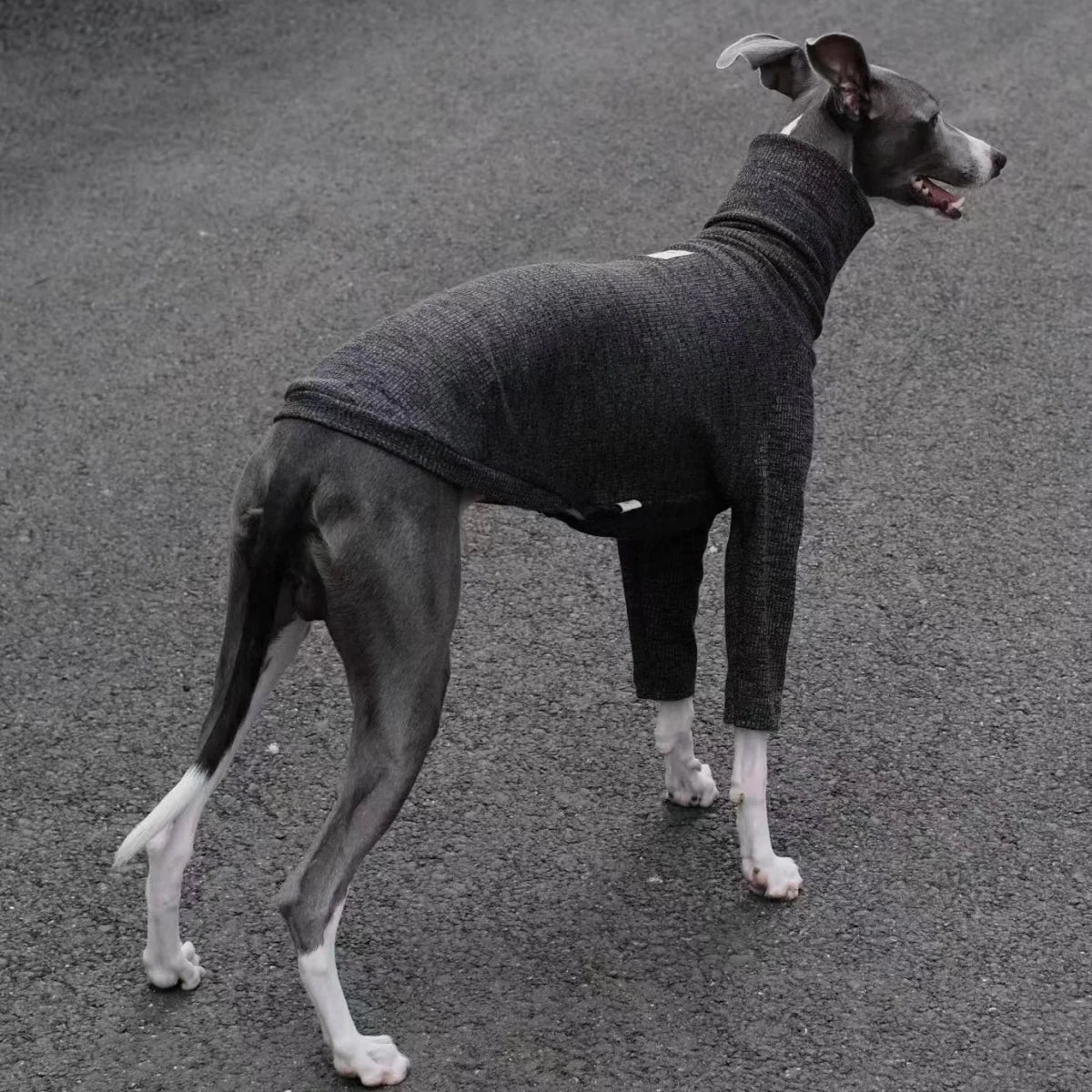 Spring Clothing for Italy Greyhound  Autumn Soft High-Neck Cotton Grey T-shirt for Whippet Winter Long Sleeved Pajamas for Dogs
