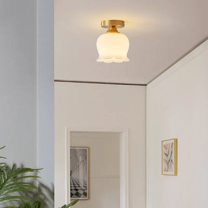 IWHD Home Lighting LED Ceiling Lights Decoration Aisle Porch Living Room Light Fixtures Nordic Ceiling Lamp Resin Copper Lustres