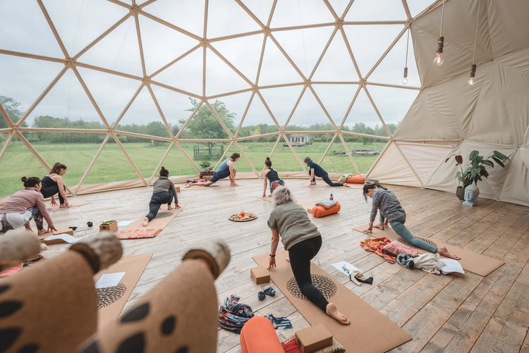 Custom Luxury Geodesic Dome Tent For Airbnb Outdoor Stay Farm Resort And Scenic Area Accommodation Custom Interior Solution
